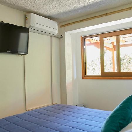 Hostal Aldea Colchagua Experience Santa Cruz Εξωτερικό φωτογραφία