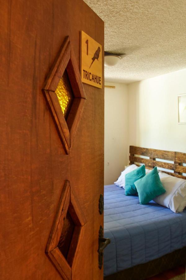 Hostal Aldea Colchagua Experience Santa Cruz Εξωτερικό φωτογραφία